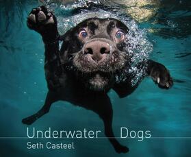 Casteel | Underwater Dogs | Buch | 978-1-4722-1174-3 | www.sack.de