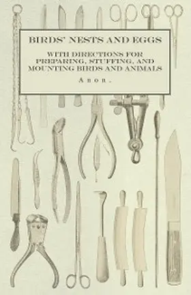 Anon |  Birds' Nests and Eggs - With Directions for Preparing, Stuffing, and Mounting Birds and Animals | eBook | Sack Fachmedien