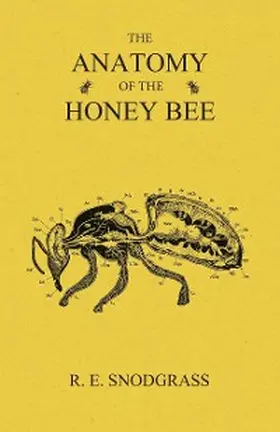 Snodgrass |  The Anatomy of the Honey Bee | eBook | Sack Fachmedien