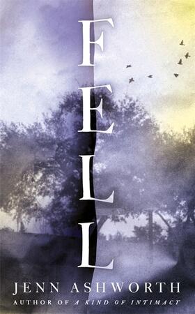 Ashworth |  Fell | Buch |  Sack Fachmedien