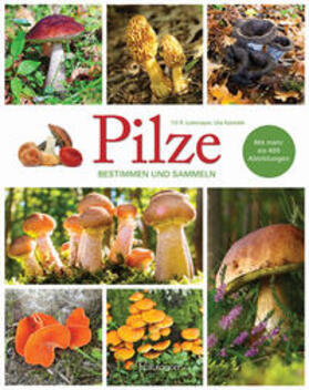 Lohmeyer / Künkele |  Pilze - Bestimmen und Sammeln | Buch |  Sack Fachmedien