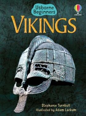 Turnbull |  Vikings | Buch |  Sack Fachmedien