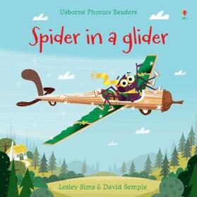 Sims |  Spider in a Glider | Buch |  Sack Fachmedien
