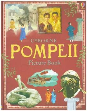 Reid |  Pompeii Picture Book | Buch |  Sack Fachmedien
