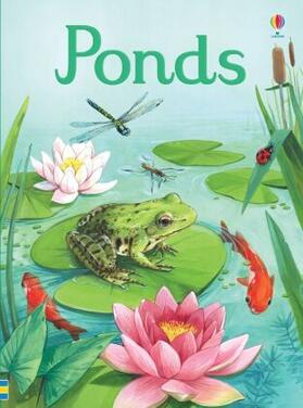 Bone |  Ponds | Buch |  Sack Fachmedien