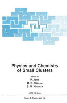 Jena | Physics and Chemistry of Small Clusters | E-Book | www.sack.de