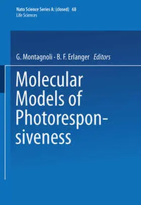 Montagnoli | Molecular Models of Photoresponsiveness | E-Book | sack.de