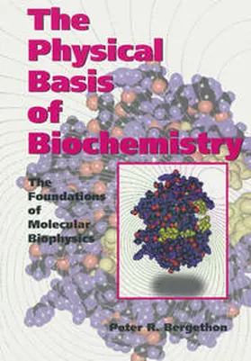Bergethon |  The Physical Basis of Biochemistry | eBook | Sack Fachmedien