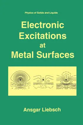 Liebsch | Electronic Excitations at Metal Surfaces | E-Book | www.sack.de