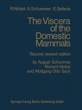 NICKEL |  The Viscera of the Domestic Mammals | Buch |  Sack Fachmedien