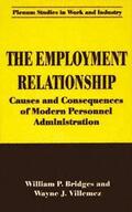 Villemez / Bridges |  The Employment Relationship | Buch |  Sack Fachmedien