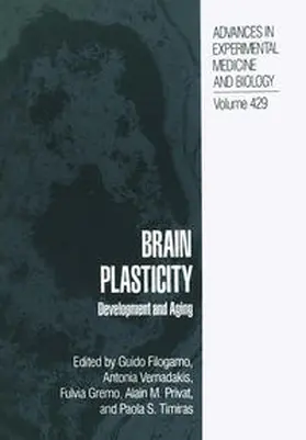 Filogamo / Vernadakis / Gremo |  Brain Plasticity | eBook | Sack Fachmedien