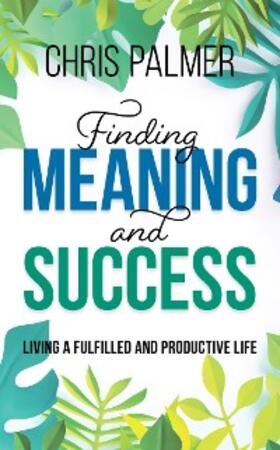 Palmer |  Finding Meaning and Success | eBook | Sack Fachmedien