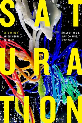 Jue / Ruiz |  Saturation | eBook | Sack Fachmedien