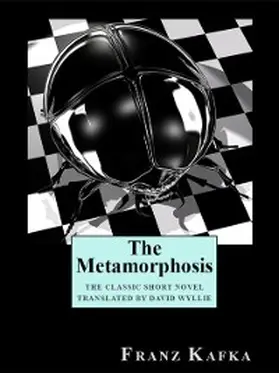 Kafka |  The Metamorphosis | eBook | Sack Fachmedien