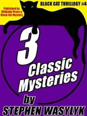 Wasylyk |  Black Cat Thrillogy #4: 3 Mysteries by Stephen Wasylyk | eBook | Sack Fachmedien