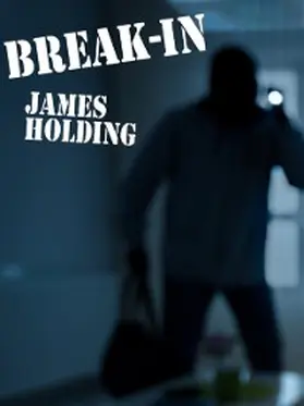 Holding |  Break-In | eBook | Sack Fachmedien