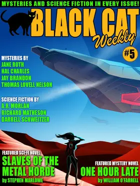 Matheson / Schweitzer / O'Farrell |  Black Cat Weekly #5 | eBook | Sack Fachmedien