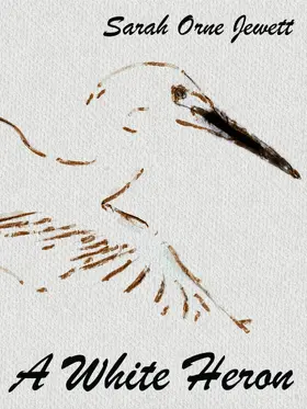 Jewett / Wurf |  A White Heron | eBook | Sack Fachmedien