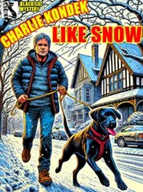 Kondek |  Like Snow | eBook | Sack Fachmedien
