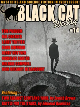 Goffman / Purdom / Brown |  Black Cat Weekly #14 | eBook | Sack Fachmedien
