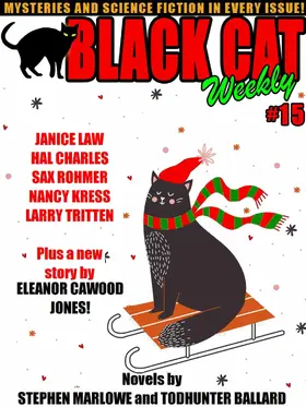 Law / Floyd / Charles |  Black Cat Weekly #15 | eBook | Sack Fachmedien