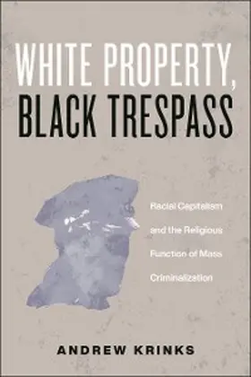 Krinks |  White Property, Black Trespass | eBook | Sack Fachmedien