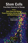 Calegari / Waskow |  Stem Cells | Buch |  Sack Fachmedien
