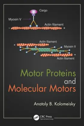 Kolomeisky | Motor Proteins and Molecular Motors | Buch | 978-1-4822-2475-7 | www.sack.de