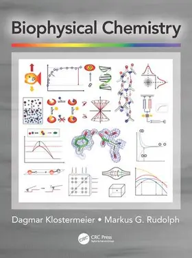 Klostermeier / Rudolph | Biophysical Chemistry | Buch | 978-1-4822-5223-1 | sack.de