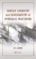 Birdi |  Surface Chemistry and Geochemistry of Hydraulic Fracturing | Buch |  Sack Fachmedien