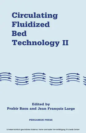 Basu / Large |  Circulating Fluidized Bed Technology | eBook | Sack Fachmedien