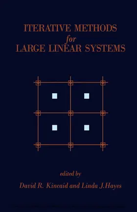 Kincaid / Hayes |  Iterative Methods for Large Linear Systems | eBook | Sack Fachmedien