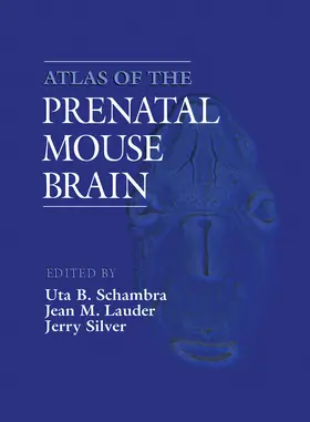 Schambra / Silver |  Atlas of the Prenatal Mouse Brain | eBook | Sack Fachmedien