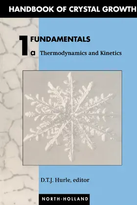 Hurle |  Fundamentals | eBook | Sack Fachmedien