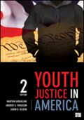Ahranjani / Ferguson / Raskin |  Youth Justice in America | Buch |  Sack Fachmedien