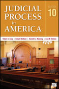 Carp / Stidham / Manning |  Judicial Process in America | Buch |  Sack Fachmedien