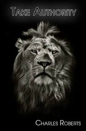 Roberts |  Take Authority | eBook | Sack Fachmedien