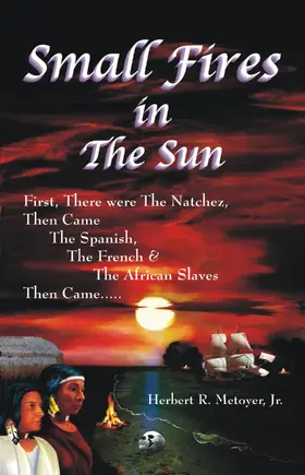 Herbert R. Metoyer / Jr. |  Small Fires in the Sun | eBook | Sack Fachmedien