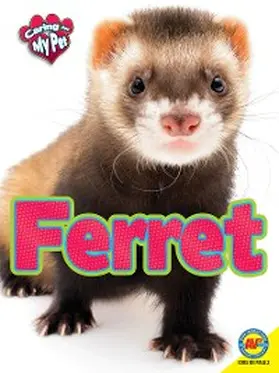 Hamilton |  Ferret | eBook | Sack Fachmedien