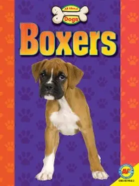 Mattern |  Boxers | eBook | Sack Fachmedien