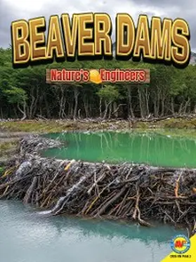 Furstinger |  Beaver Dams | eBook | Sack Fachmedien