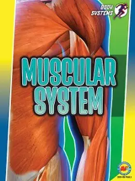 Rose |  Muscular System | eBook | Sack Fachmedien