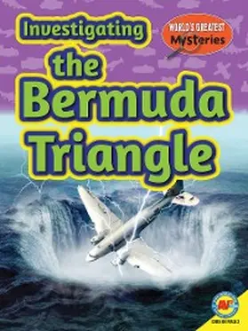 Richard |  Investigating the Bermuda Triangle | eBook | Sack Fachmedien