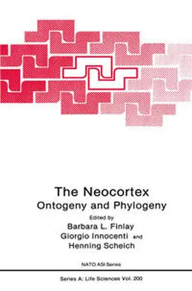 Finlay / Innocenti / Scheich | The Neocortex | E-Book | sack.de