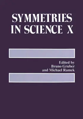 Gruber / Ramek |  Symmetries in Science X | Buch |  Sack Fachmedien
