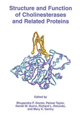 Doctor / Taylor / Quinn |  Structure and Function of Cholinesterases and Related Proteins | eBook | Sack Fachmedien
