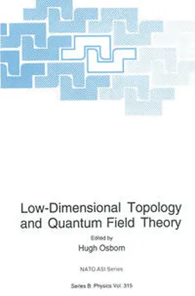 Osborn | Low-Dimensional Topology and Quantum Field Theory | E-Book | www.sack.de