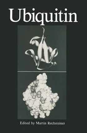 Rechsteiner | Ubiquitin | E-Book | www.sack.de