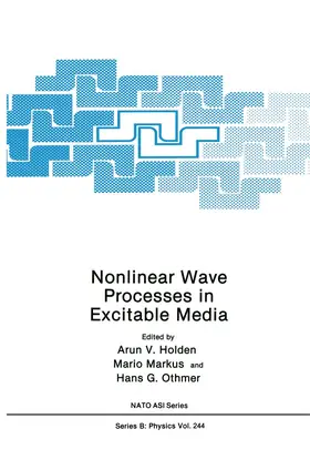 Holden / Markus / Othmer |  Nonlinear Wave Processes in Excitable Media | Buch |  Sack Fachmedien